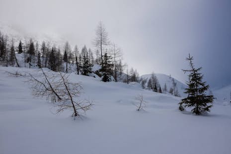 Splitboarding day tour for advanced in Lesachtal