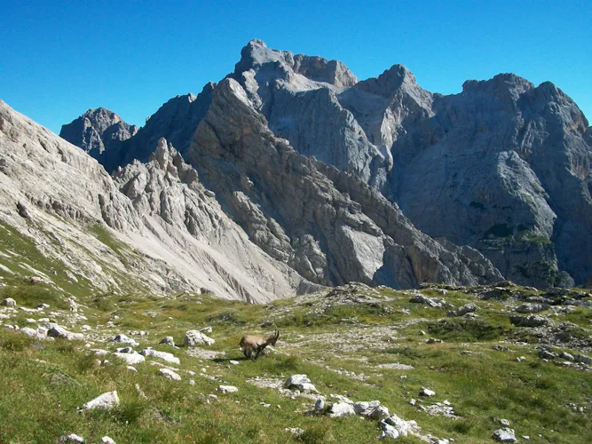 Tour de trekking de refugio a refugio de 6 días en el Valle de Zemola, Dolomitas