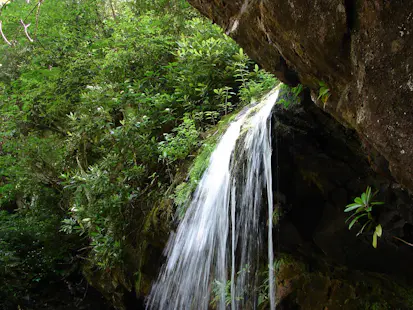 Hike to Grotto Falls, Smoky Mountains National Park