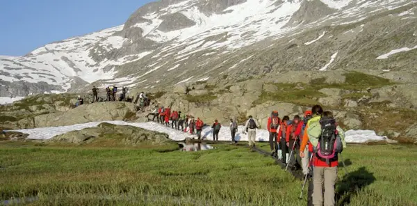 Adamello-Presanella Group guided trekking day | Italy