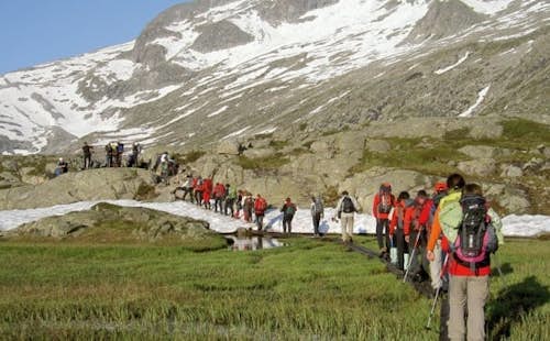 Adamello-Presanella Group guided trekking day