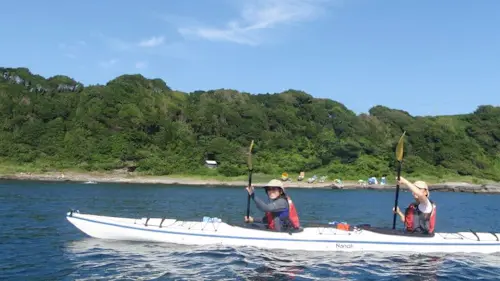 Miura Peninsula, Japan, 1 Day Guided Kayak Tour