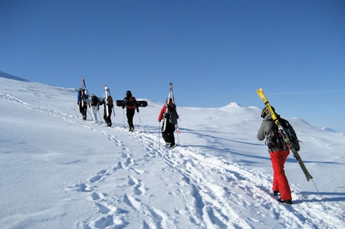 Single or multi-day splitboarding trip in Narvik mountains