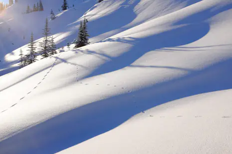 Guided Splitboarding Week Around Whitecap Alpine Lodge, Canada