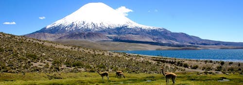 15-day Guided Expedition of the Parinacota Volcano – Chilean Altiplano