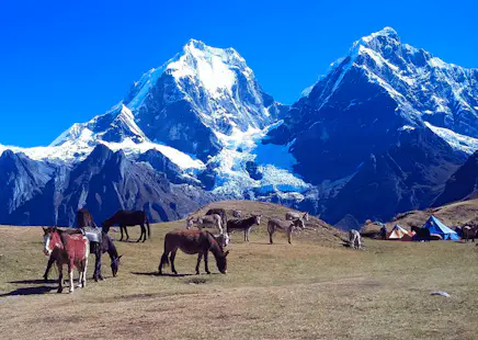 4-day short Cordillera Huayhuash trek