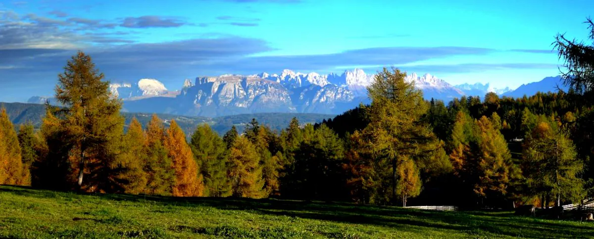 Dolomites, Tre Cime -Drei Zinnen, Randonnée de 1 à 2 jours avec un guide | undefined