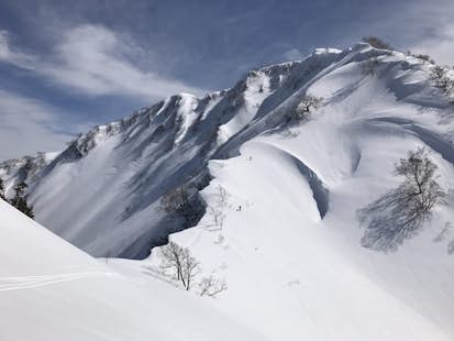 Alps to Coast 8-Day Ski Touring Program in Nagano and Niigata