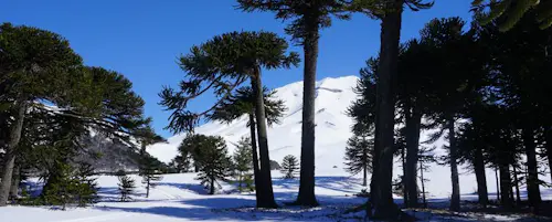 12-day Chilean volcanoes skiing tour adventure