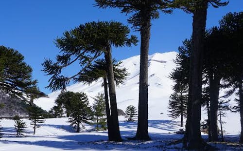 12-day Chilean volcanoes skiing tour adventure