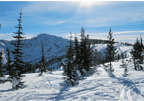 1-Day Advanced backcountry skiing in Salt Lake Valley, UT