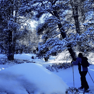 Estany de l’Estanyó full day tour in snowshoes