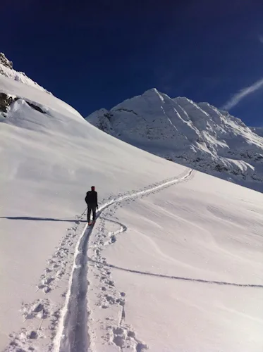Alps Ski Mountaineering