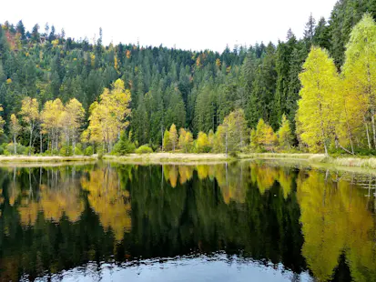 Black Forest 7-day guided hiking tour