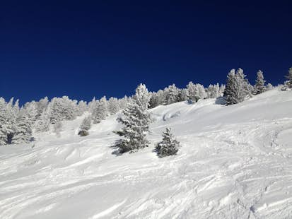 Mount Cardigan off piste snowboarding for beginners