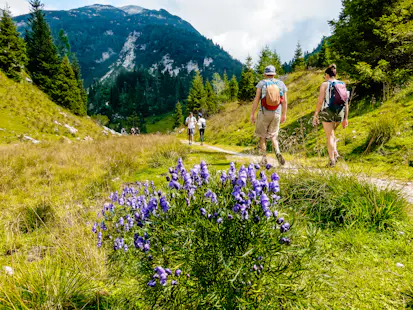 Julian Alps and Triglav National Park 1-to-3-day treks