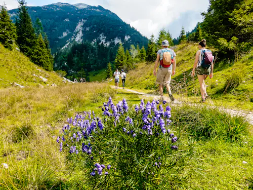Julian Alps and Triglav National Park 1-to-3-day treks