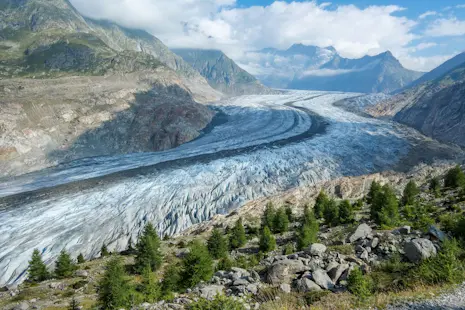 Aletsch Glacier 4-day guided hiking trip