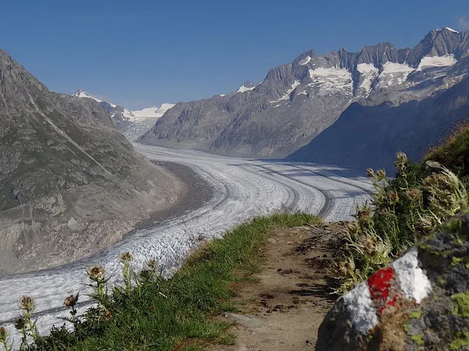 Hiking tour around the Aletsch Glacier