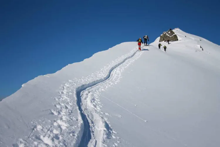 Backcountry skiing day tours in Central Alps