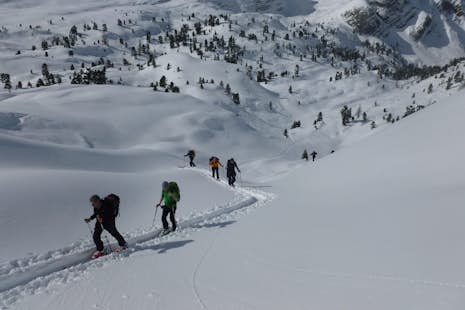 Introductory ski tour in Bad Hindelang, 2 days