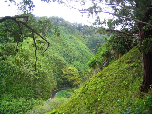 Hana Highway 1-day hiking in Maui