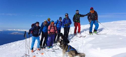 1+ day ski touring Lyngen, Tamok and Kvaløya