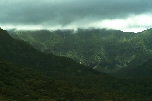 Half-day Kuilau Ridge jungle trail hike in Kauai, HI
