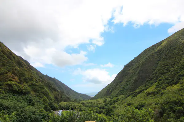Half-day guided hike in the Maui Valley, Hawaii | undefined