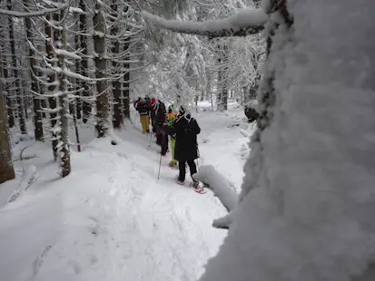 Donon (Vosges) guided snowshoeing day tour