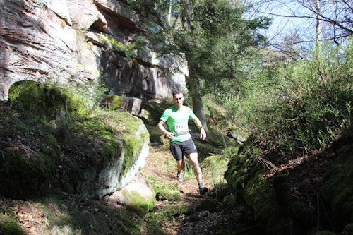 Les Vosges guided trail running day tours