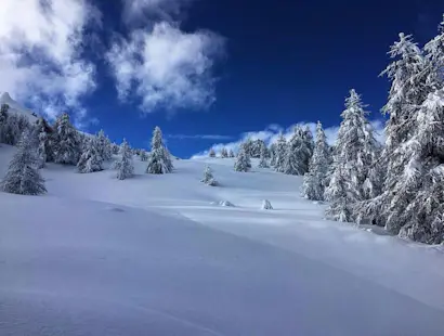 Guided 3-day splitboarding trip in Maira Valley