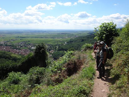 Alsace guided hiking day tours