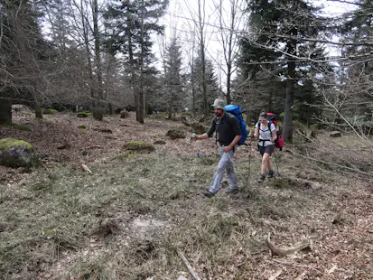 Les Vosges guided hiking day tours