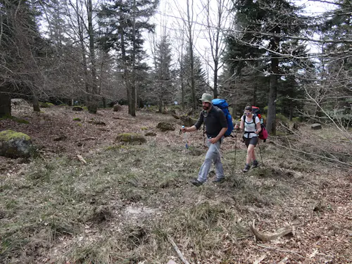 Randonnées d'une journée dans les Vosges avec un guide