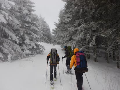 Le Gazon du Faing (Les Vosges) guided snowshoeing day tour