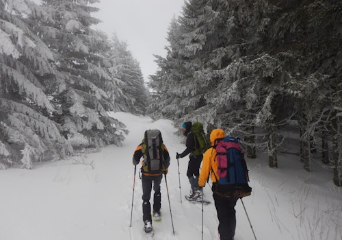 Le Gazon du Faing (Les Vosges) guided snowshoeing day tour