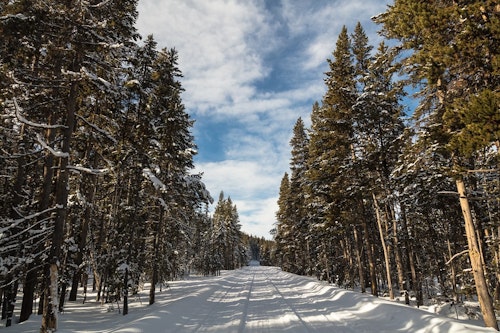 5-day cross country skiing in Yellowstone