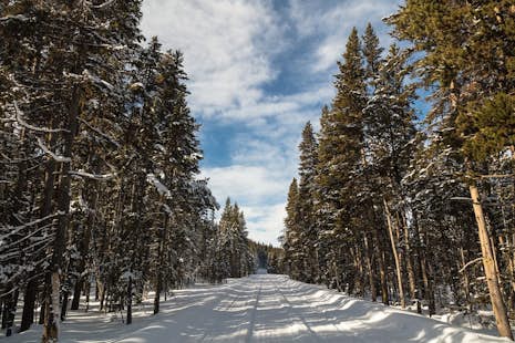 5-day cross country skiing in Yellowstone