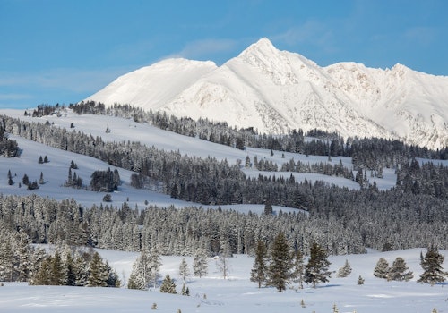 4-day ski touring in Yellowstone National Park
