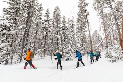 Cross-country ski day in Yellowstone National Park