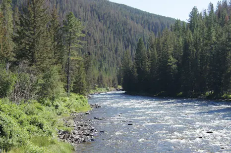 Gallatin River, Montana, Guided Whitewater Rafting