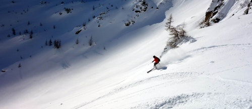 Freeride skiing day trips in Passo Tonale, Adamello Range
