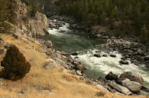 Yellowstone River in Black Canyon