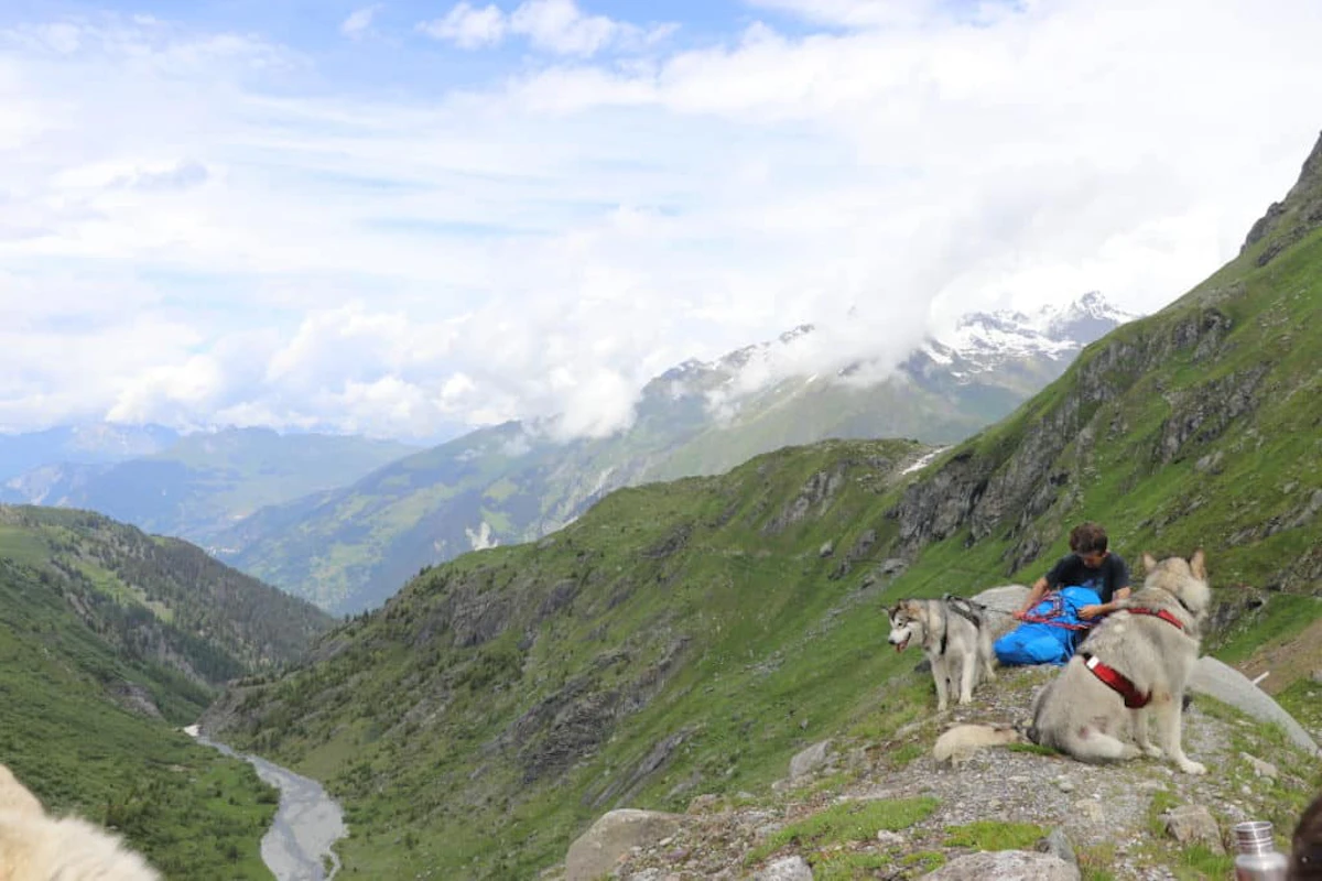 Hiking tour with dogs in Valais for one or more days