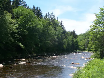 1-day Deerfield River Rafting in Fife Brook section