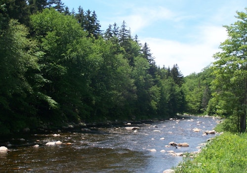 1-day Deerfield River Rafting in Fife Brook section