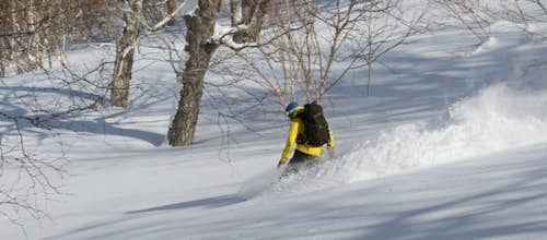 1-7 days guided backcountry snowboarding in Sapporo