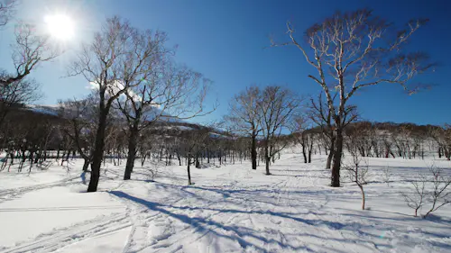 7-day Splitboarding program in Hokkaido