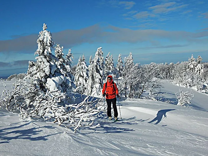Les Vosges Snowshoeing tour